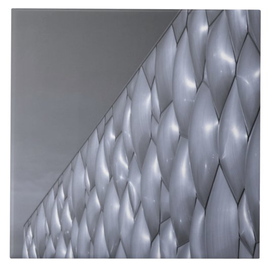 中国、北京。国立水中競技センター タイル (正面)