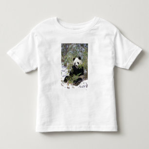 中国、四川省。ジャイアントパンダが餌を食べる トドラーTシャツ