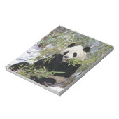 中国、四川省。ジャイアントパンダ食べ物を与えオン ノートパッド (回転)