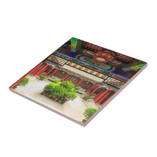 中国 小雁塔 タイル (側面)