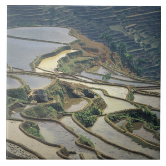 中国、雲南省。 タイル (正面)
