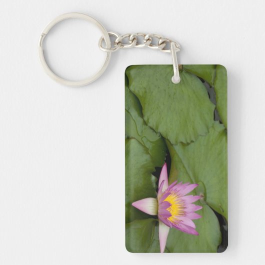 中国、香港、新領土。チリン キーホルダー (正面)