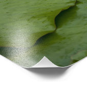 中国、香港、新領土。チリン フォトプリント            (角)