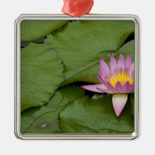 中国、香港、新領土。チリン メタルオーナメント (正面)