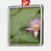 中国、香港、新領土。チリン メタルオーナメント (左)