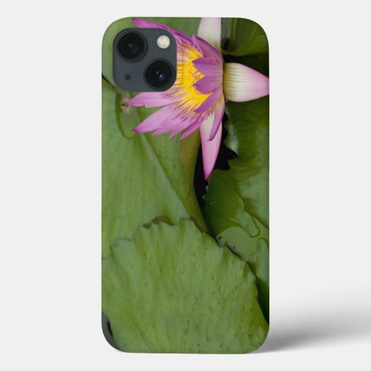 中国、香港、新領土。チリン Case-Mate iPhoneケース (裏面)