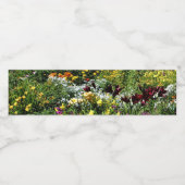 中夏カラフル園 ペットボトルラベル (シングルラベル)