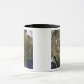 中央および西統一された州 マグカップ (中央)