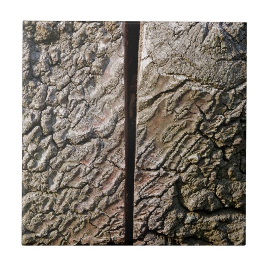 中央に切り取られた木 タイル (正面)