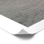 中央のペリカン ポスター (角)