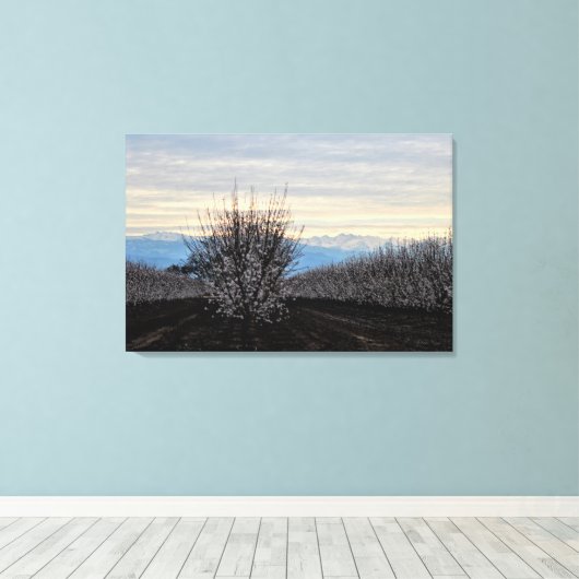 中央の谷の風景ブルーミングキャンバスプリント キャンバスプリント (インサイチュ (ウッドフロア))