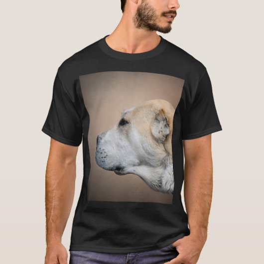 中央アジアの羊飼いアラバイ Tシャツ (正面)