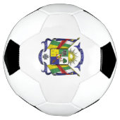 中央アフリカ共和国エンブレム サッカーボール (回転)