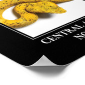 中央アメリカのロープ – ビパースネークの危険 ポスター (角)