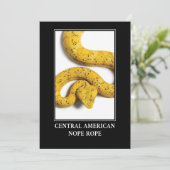 中央アメリカのロープ – ビパースネークの危険 招待状 (スタンド正面)