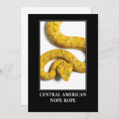 中央アメリカのロープ – ビパースネークの危険 招待状 (正面/裏面)