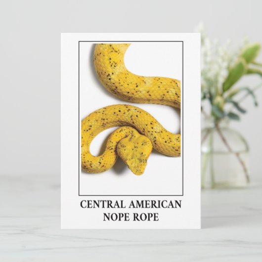 中央アメリカのロープ – ビパースネークの危険 招待状 (スタンド正面)
