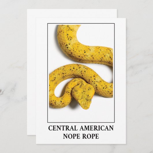 中央アメリカのロープ – ビパースネークの危険 招待状 (正面/裏面)