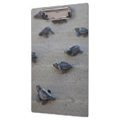 中央アメリカ、エルサルバドル、太平洋海 クリップボード (左)