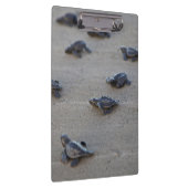 中央アメリカ、エルサルバドル、太平洋海 クリップボード (右)