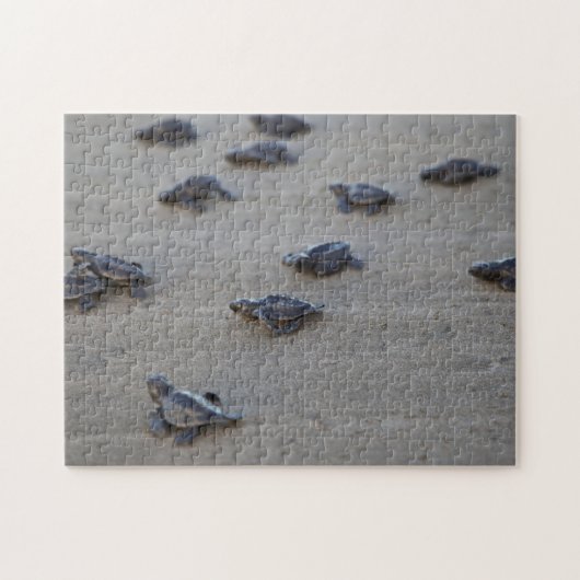 中央アメリカ、エルサルバドル、太平洋海 ジグソーパズル (横)