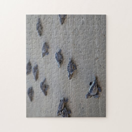 中央アメリカ、エルサルバドル、太平洋海 ジグソーパズル (縦)