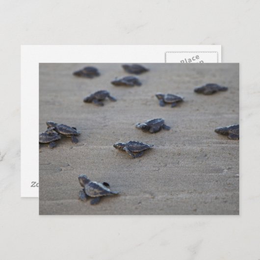 中央アメリカ、エルサルバドル、太平洋海 ポストカード (正面/裏面)