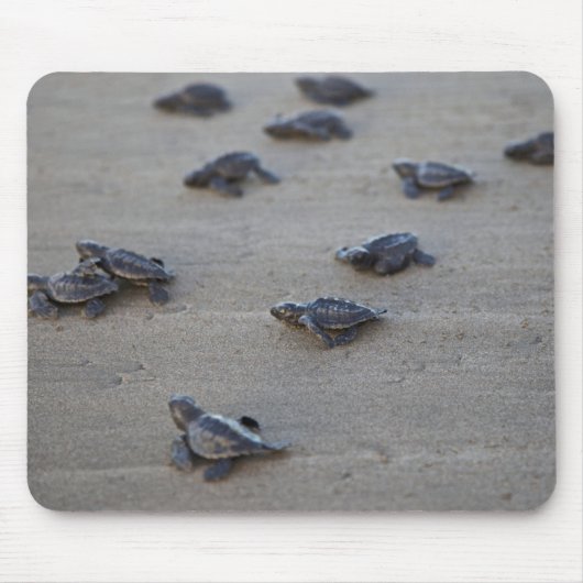 中央アメリカ、エルサルバドル、太平洋海 マウスパッド (正面)