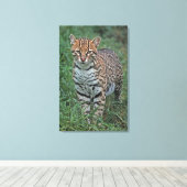 中央アメリカ キャンバスプリント (インサイチュ (ウッドフロア))