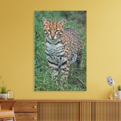 中央アメリカ キャンバスプリント (インサイチュ (リビング))