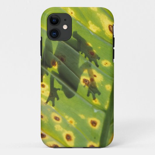 中央アメリカ、コスタリカ、カエルの葉の上で逆光 Case-Mate iPhoneケース (裏面)