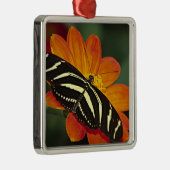 中央アメリカ、コスタリカ、セルバヴェルデ メタルオーナメント (右)