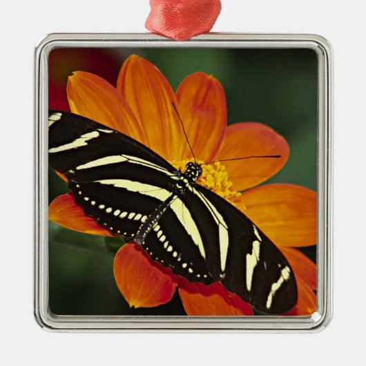 中央アメリカ、コスタリカ、セルバヴェルデ メタルオーナメント (正面)