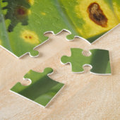 中央アメリカ,コスタリカ,バックライトカエル ジグソーパズル (側面)