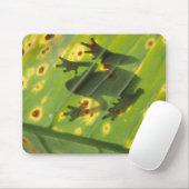 中央アメリカ，コスタリカ，バックライトカエル マウスパッド (マウス)