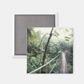 中央アメリカ、コスタリカ、モンテベルデクラウド マグネット (正面/裏面)