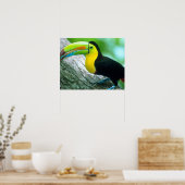 中央アメリカ，パナマ，コロラド島2 ポスター (キッチン)