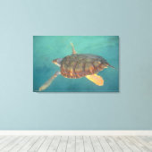 中央アメリカ,パナマ,ボカデルトロ キャンバスプリント (インサイチュ (ウッドフロア))