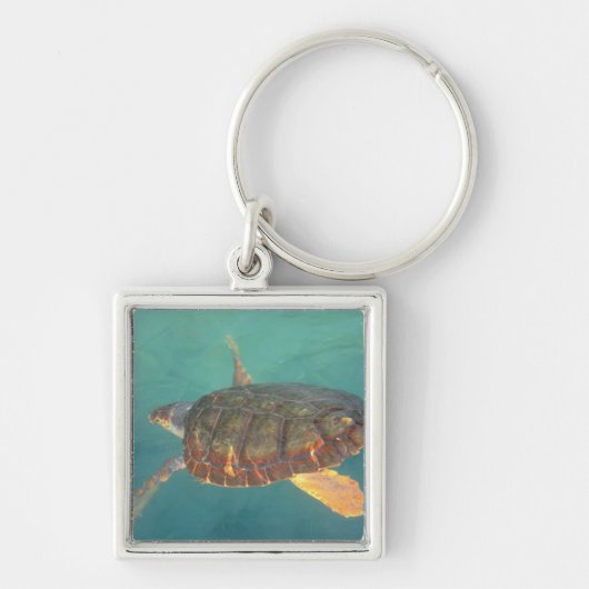 中央アメリカ，パナマ，ボカデルトロ キーホルダー (正面)