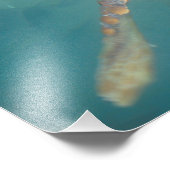 中央アメリカ，パナマ，ボカデルトロ フォトプリント            (角)