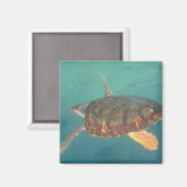 中央アメリカ,パナマ,ボカデルトロ マグネット (正面/裏面)