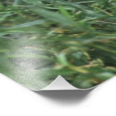 中央アメリカ フォトプリント            (角)