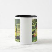 中央アメリカ、ホンジュラス。ケール州で請求されたトゥーカン マグカップ (中央)