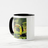 中央アメリカ、ホンジュラス。ケール州で請求されたトゥーカン マグカップ (正面左)