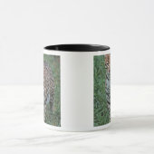 中央アメリカ マグカップ (中央)