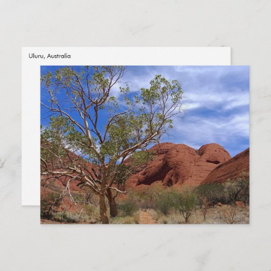 中央オーストラリアのポストカード ポストカード (正面/裏面)