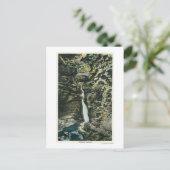 中央カスケードの表示 ポストカード (スタンド正面)