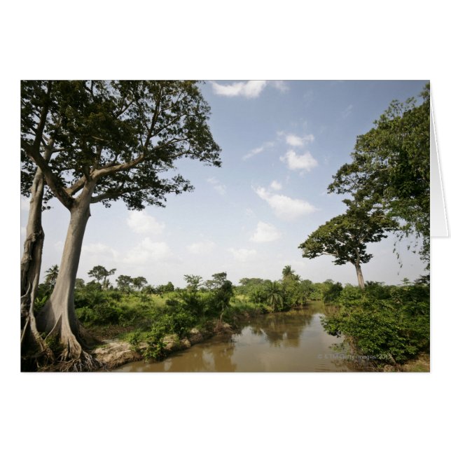 中央トーゴ、西アフリカ (正面横)