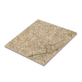 中央ドイツ3 タイル (側面)