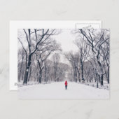 中央モダン公園の小さな赤い乗馬フード ポストカード (正面/裏面)